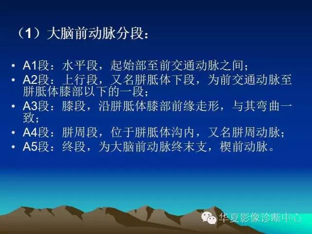 小脑血管解剖分段,脑血管影像解剖讲解