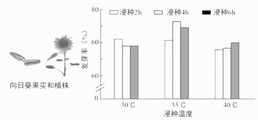 人教版七年级生物植物的呼吸作用,生物光合作用与呼吸作用的综合题