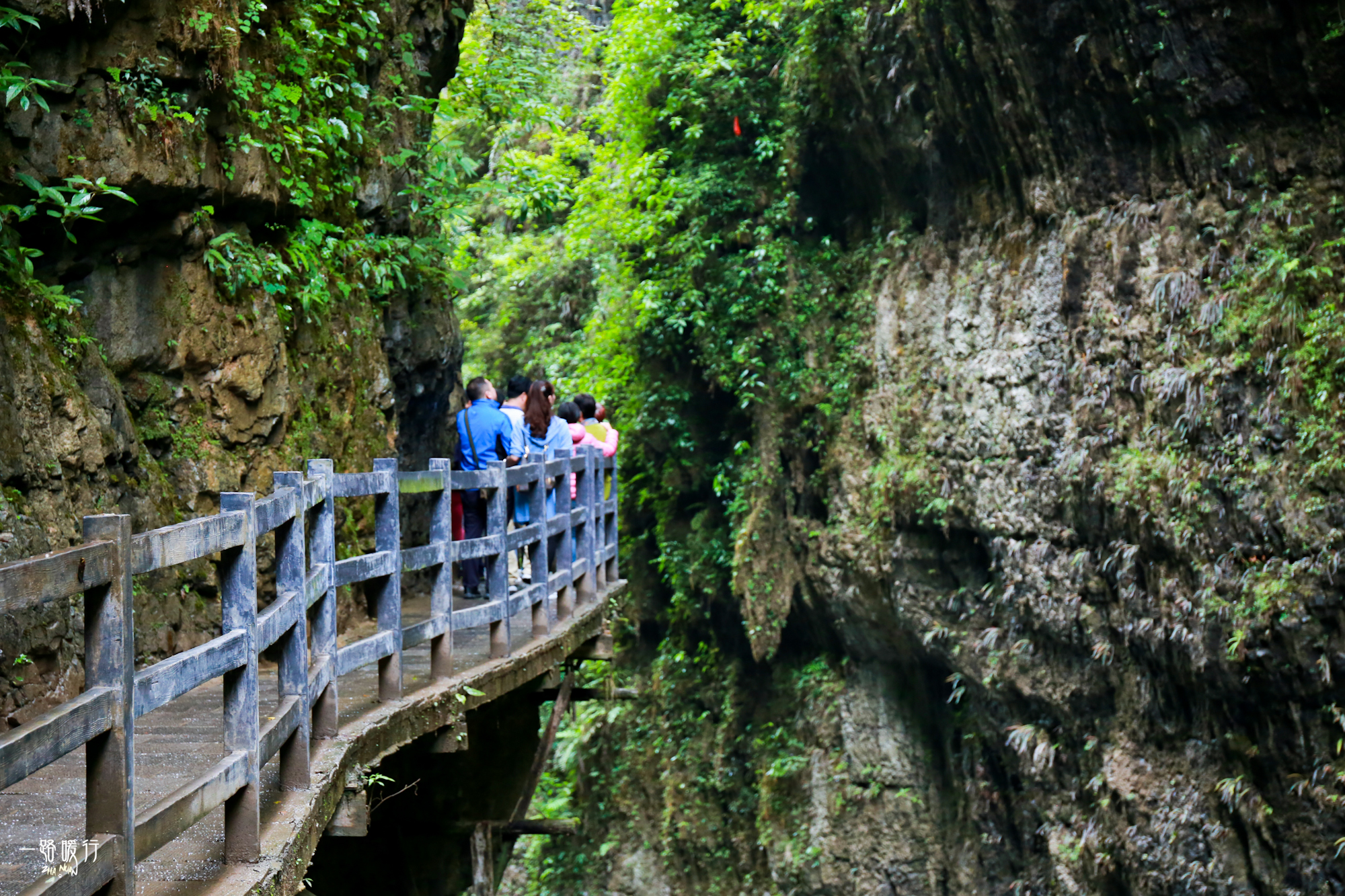 湖北恩施最美景区,中国十大魅力打卡之城恩施