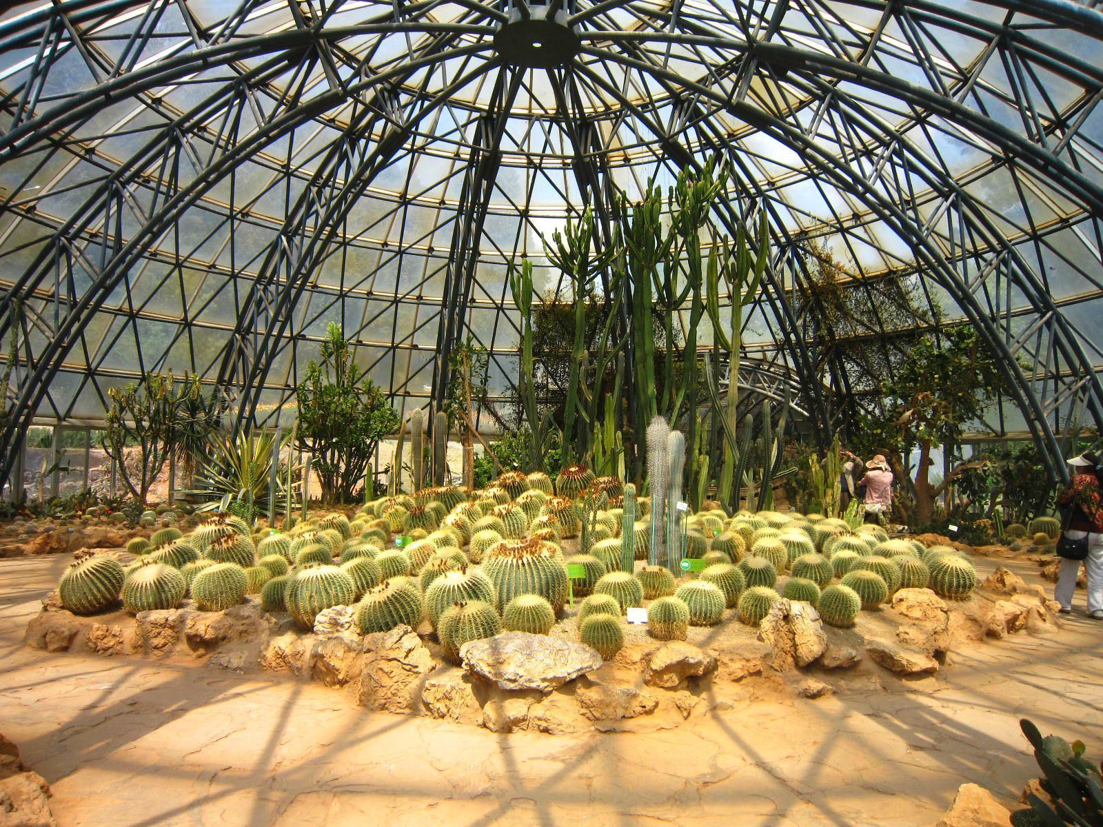 昆明有什么好玩的景点推荐一下,昆明有些什么好玩的景点推荐一下