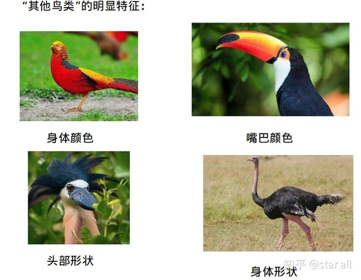 相关分析基础上怎么做模型分析,模型先验符号怎么确定