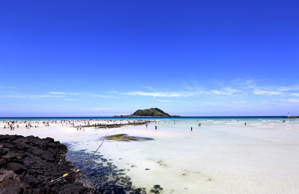 打卡济州岛西部热门景点：绿茶博物馆、GD咖啡厅、山茶花之丘……