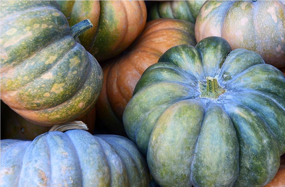 中国超5成儿童达不到遗传身高,目前有多少儿童达不到遗传身高