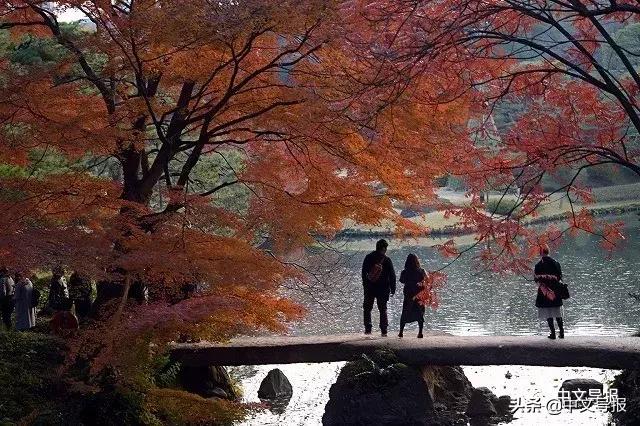 王海蓝深圳大学,王海蓝江西