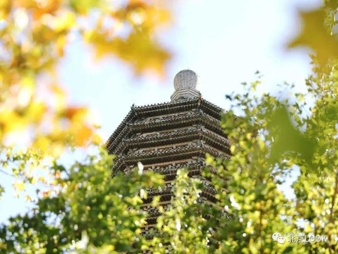 北京网红打卡地景点,北京美克美家网红打卡地