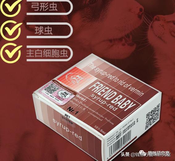 猫得了球虫病怎么办,猫得球虫病怎么治疗