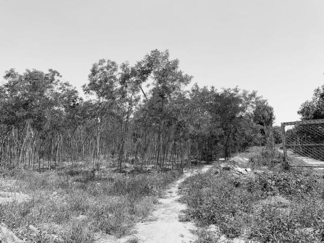 落下的星空-三叶公园未来生活体验场|DDON笛东