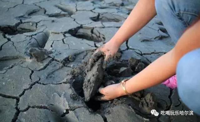 关于塑料袋的危害科学小实验,现在的塑料袋是有毒有危害吗