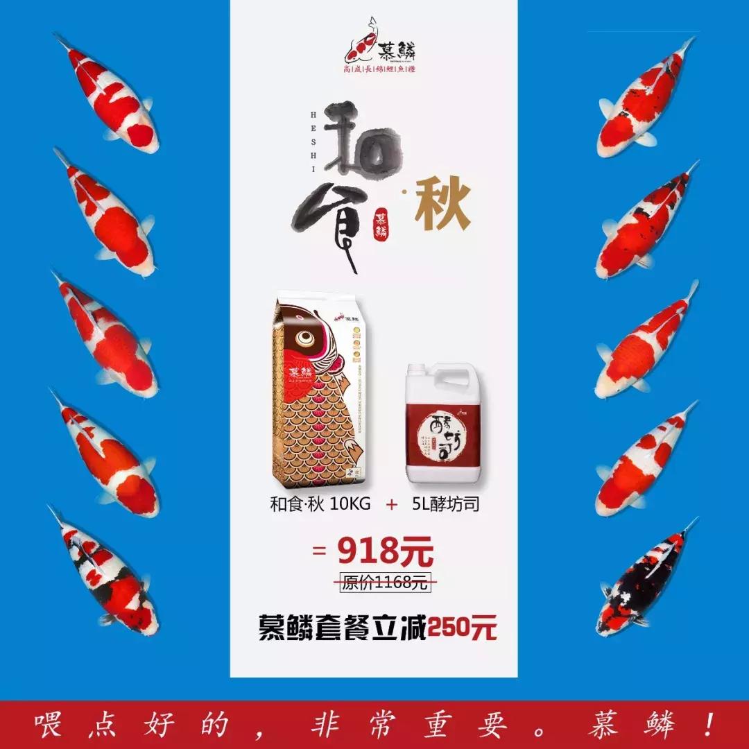 养鱼光合细菌,养鱼用的硝化细菌推荐