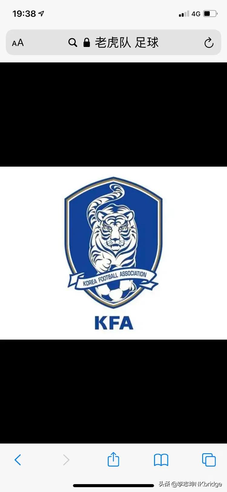 老虎俱乐部logo设计,老虎队足球俱乐部