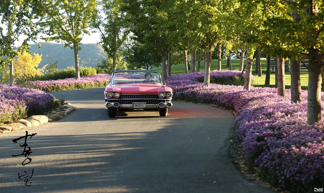 亦舒喜宝多少钱一支,喜宝亦舒