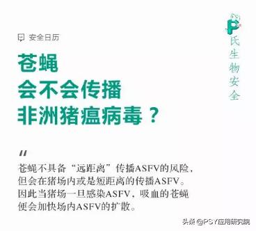 苍蝇会不会把非洲猪瘟传给猪？