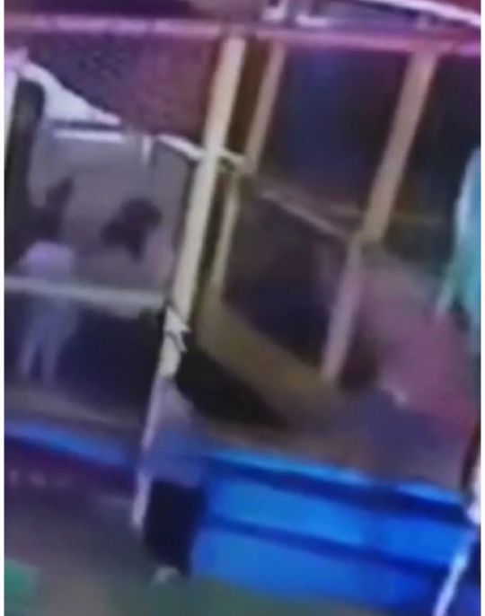 黑龙江佳木斯幼儿园,佳木斯最好幼儿园排名