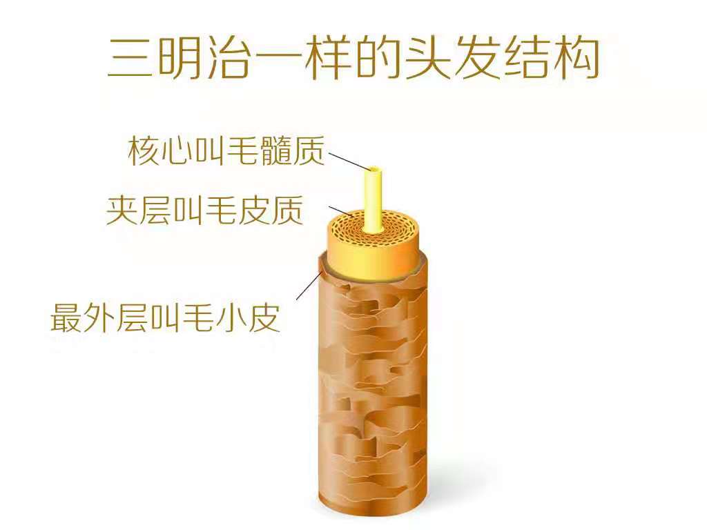 头发毛躁用什么护发精油烫发,头发烫过发质干枯用精油怎么打理