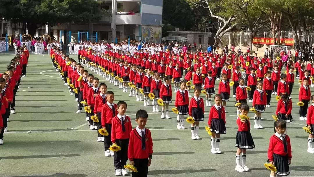 深圳踢足球第一的小学,深圳市足球比较好的小学