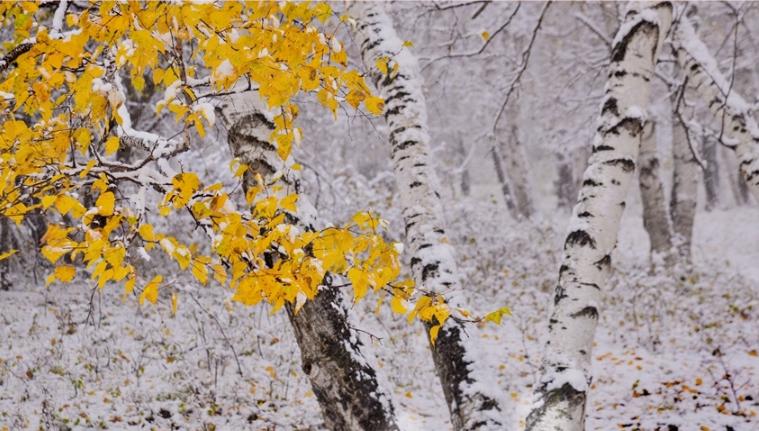 寒冷晴天,寒冷1