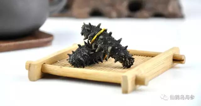 大连海参加盟,大连海参介绍宣传片