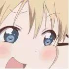 预算50元可以买什么好玩的,50元以下适合学生党买的蜥蜴