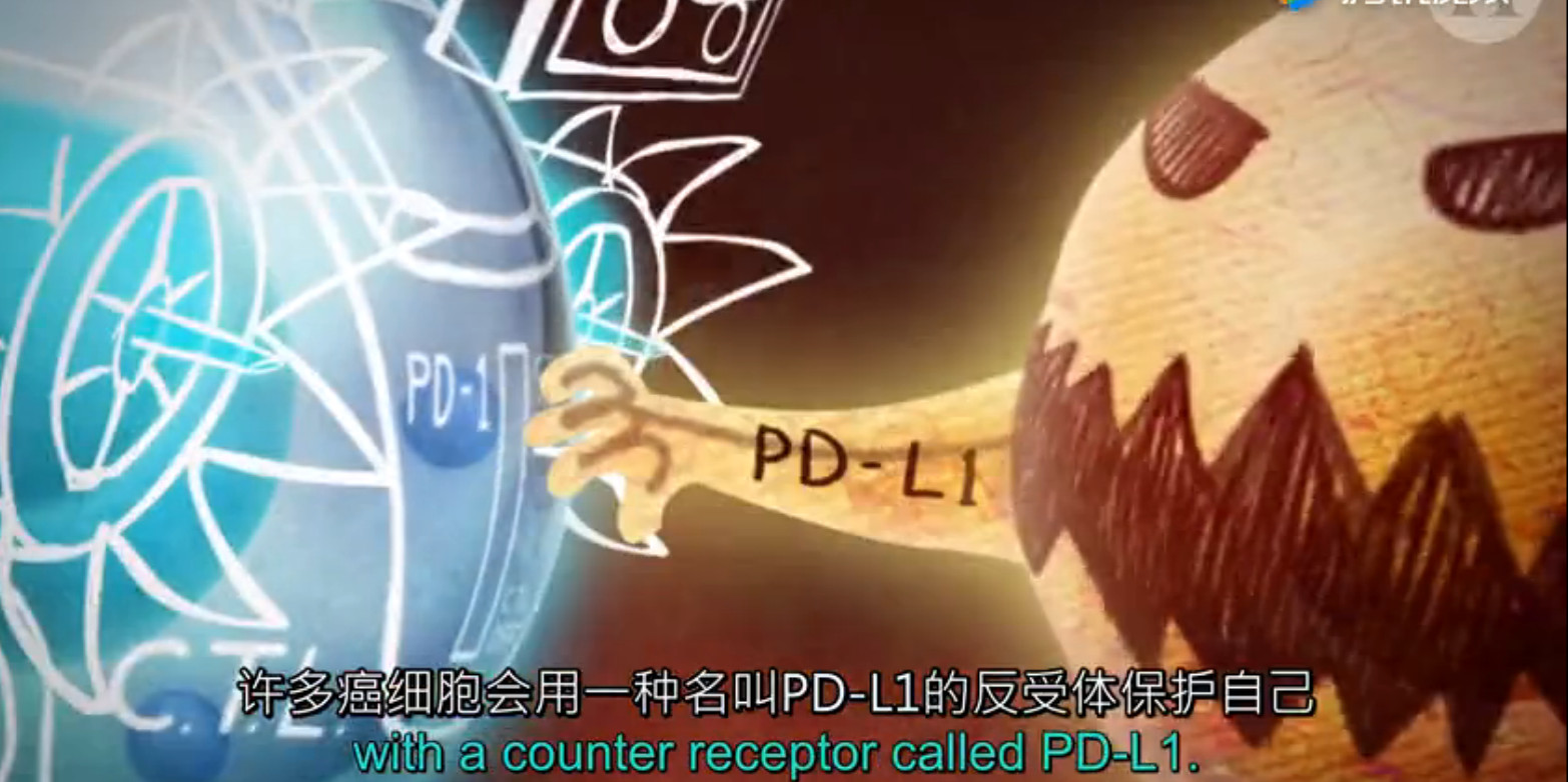 pd1肿瘤免疫治疗现状,什么是pd1免疫治疗费用