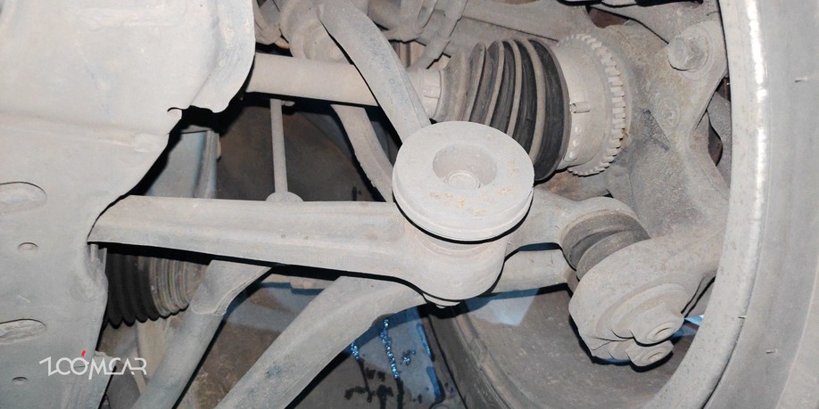 马六之前的马六,马六的成长史