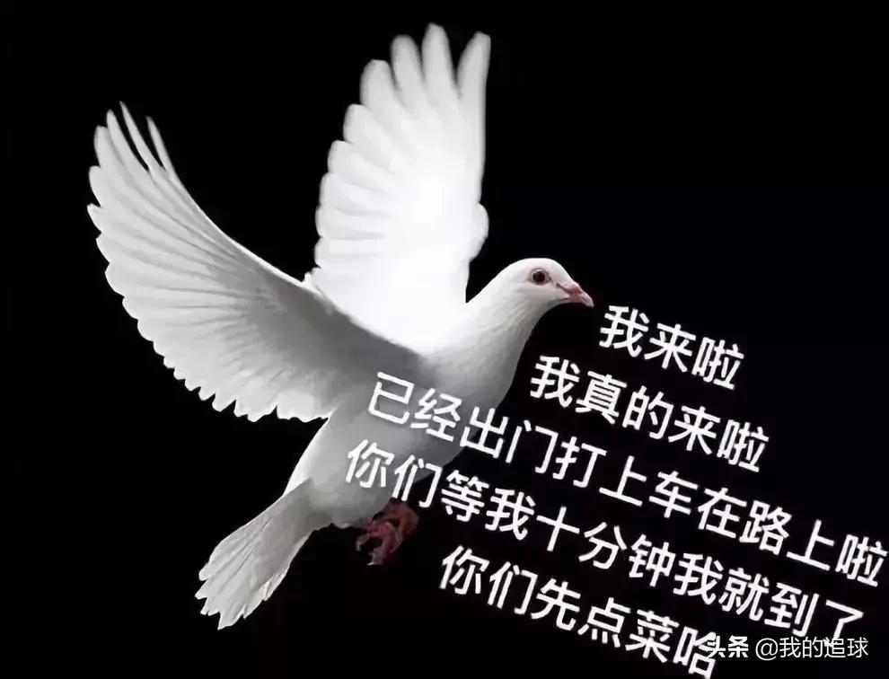 球品与人品,球品见人品是真的吗