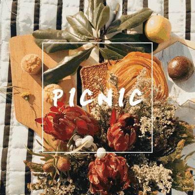 @常熟人，四月不野餐，就是对春天的浪费!