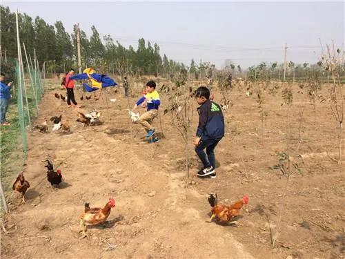合肥小众风景区,合肥有一处小众景点
