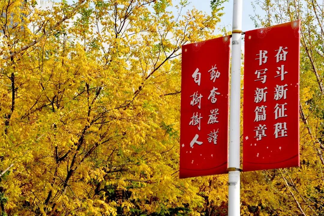 天津公办3+2本科学校有哪些,天津市专升本天津师范大学
