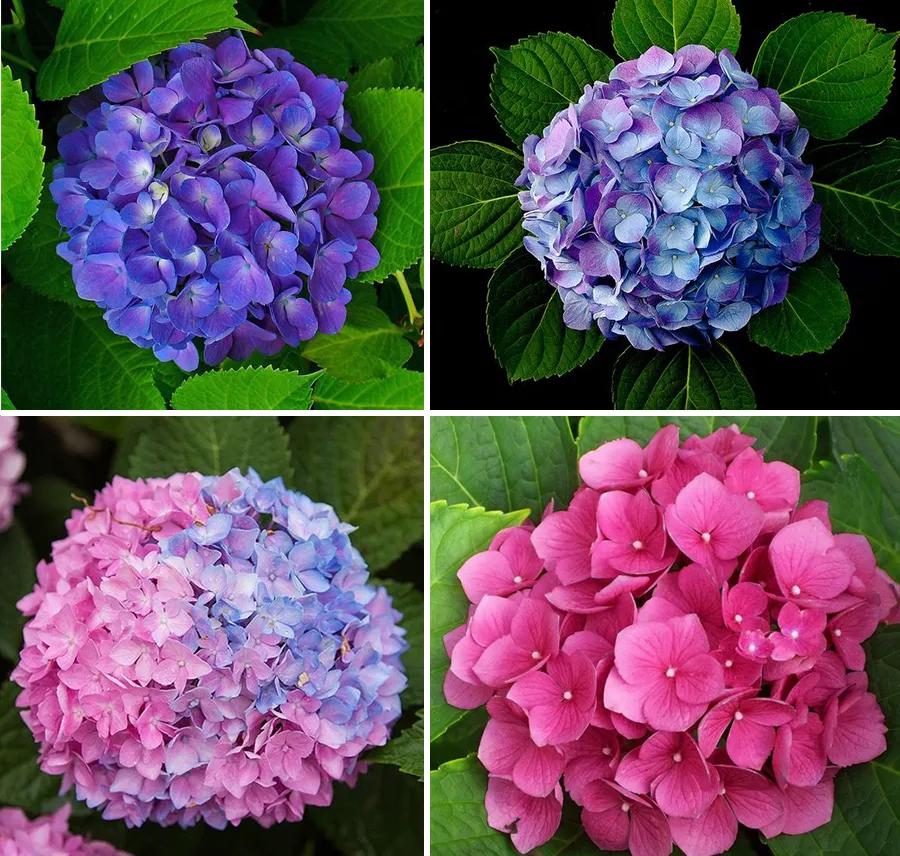 儿童水粉画春天简单又好看,儿童水粉画练习