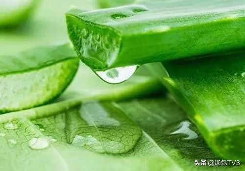 芦荟会使肠道变黑吗,吃芦荟胶囊肠道变黑能恢复吗