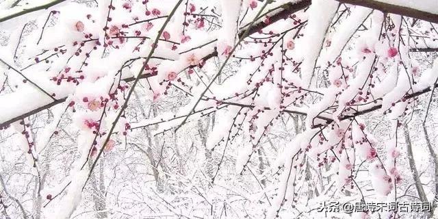 一场大雪洋洋洒洒而来,带雪的唯美唐诗宋词