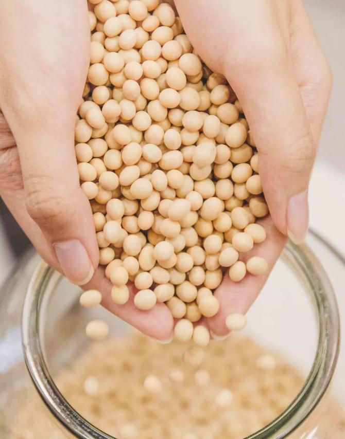 排队两小时就为了买一杯茶颜悦色,排队2小时一杯的奶茶