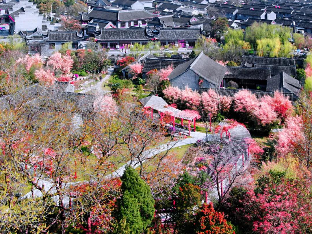 南通已经入春了吗,今年南通什么时候入春