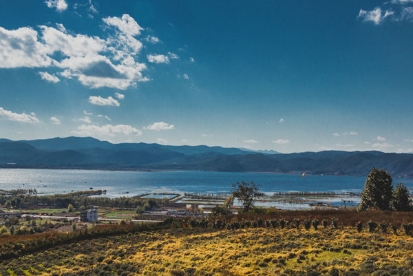 拉市海自由行真实体验,拉市海自己玩攻略