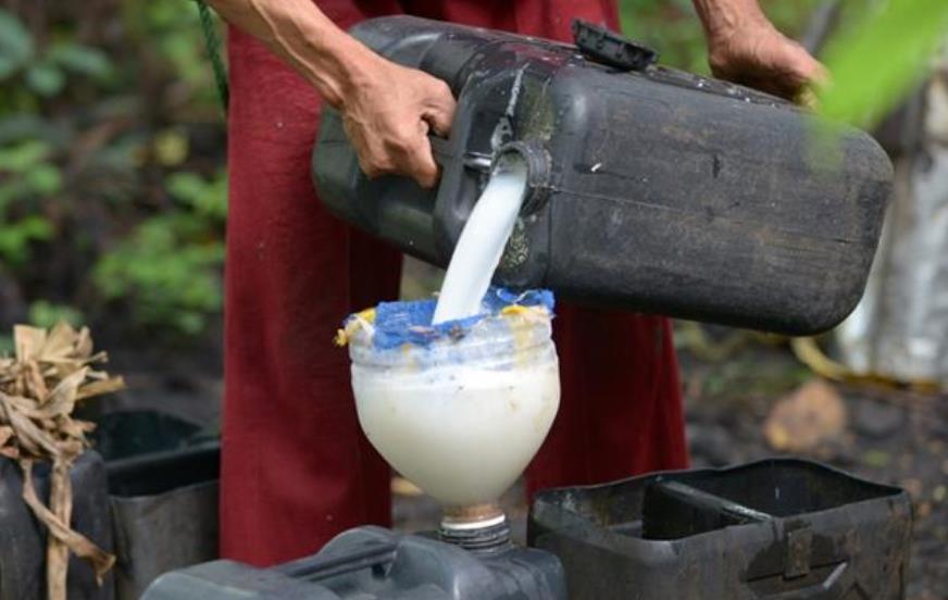 自酿米酒中毒事件,喝椰汁死亡案例