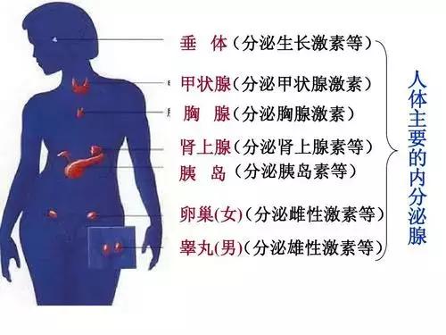 乳腺导管扩张需要做钼靶吗,乳腺导管扩张2mm严重吗还经常痛