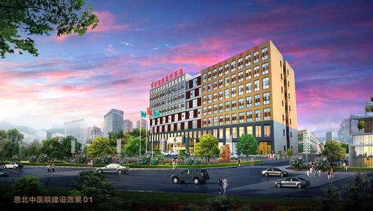 湖北省中医医院标志,湖北省洪湖市中医医院