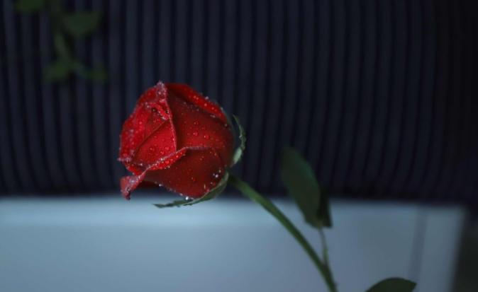 恋爱中细节真的有那么重要吗,恋爱中的细节重要吗