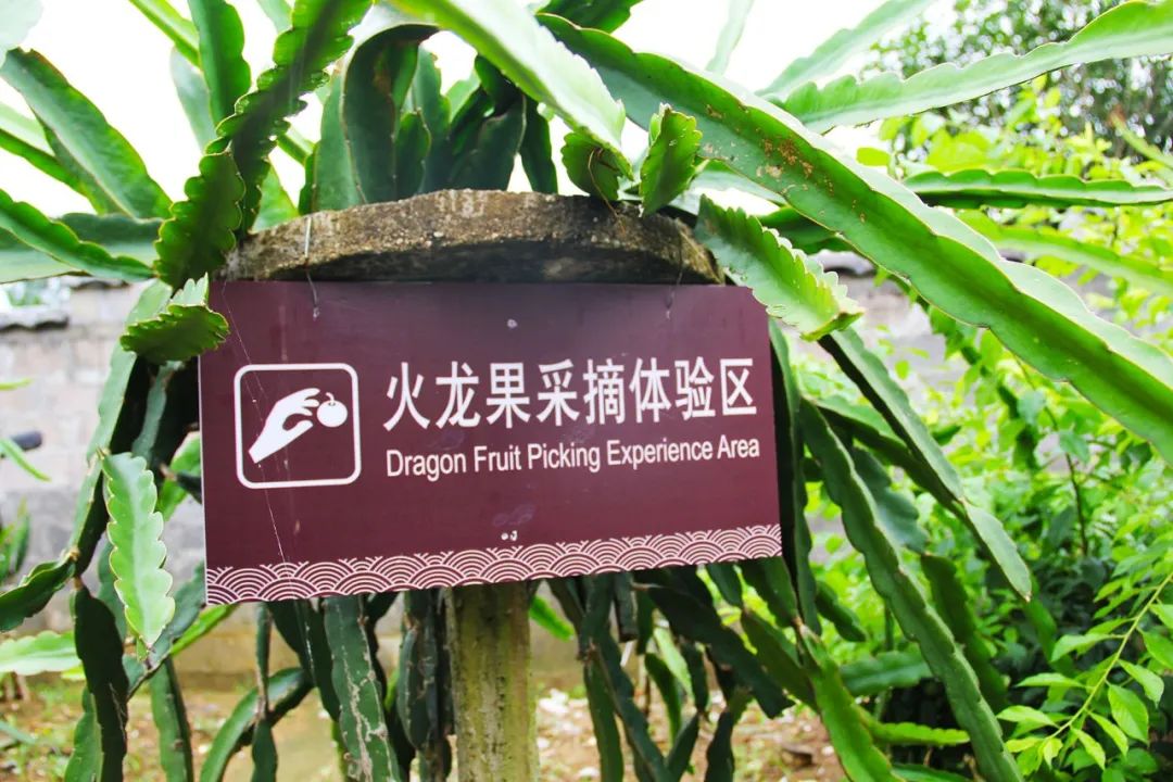 钟山水墨画廊附近旅游攻略,钟山水墨画廊自驾游