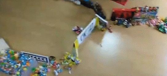 玩《马力欧卡丁车实况：家庭赛车场》前，你问过你家猫咪了吗？