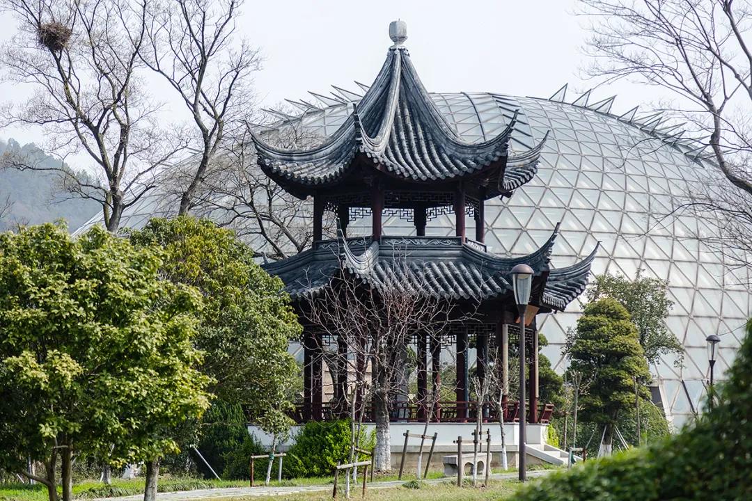 藏不住了！国庆苏州这片花海美哭了！大人小孩玩到不想走