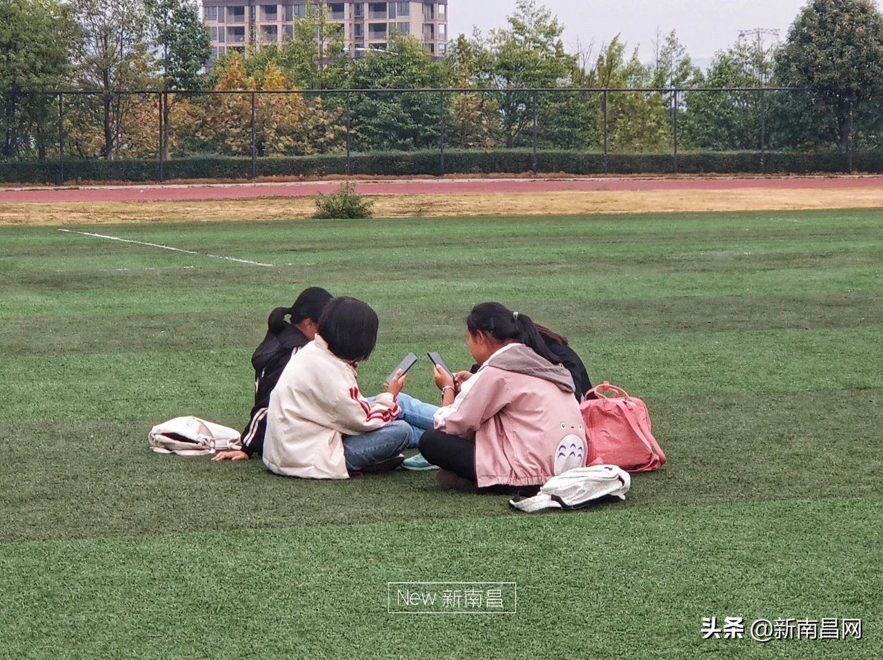 江西中医药大学回忆,现在的江西中医药大学