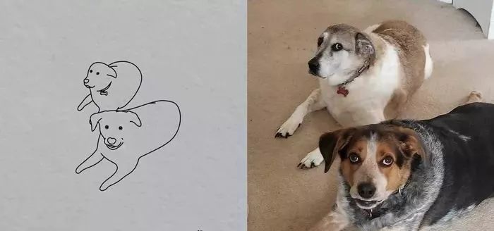 你和大触绘画的区别：一看就会一画就废，这波动物简笔画太形象了