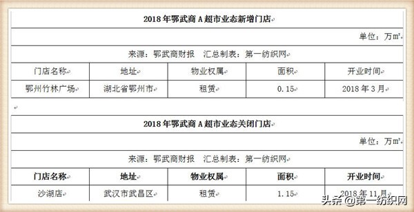 鄂武商梦时代广场项目,梦时代广场对鄂武商的影响