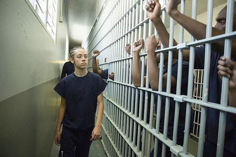 寄生虫背后的小漏洞,寄生虫和小偷家族