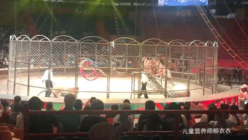 暑假内蒙古旅游攻略亲子,暑假亲子游玩内蒙古5天4夜