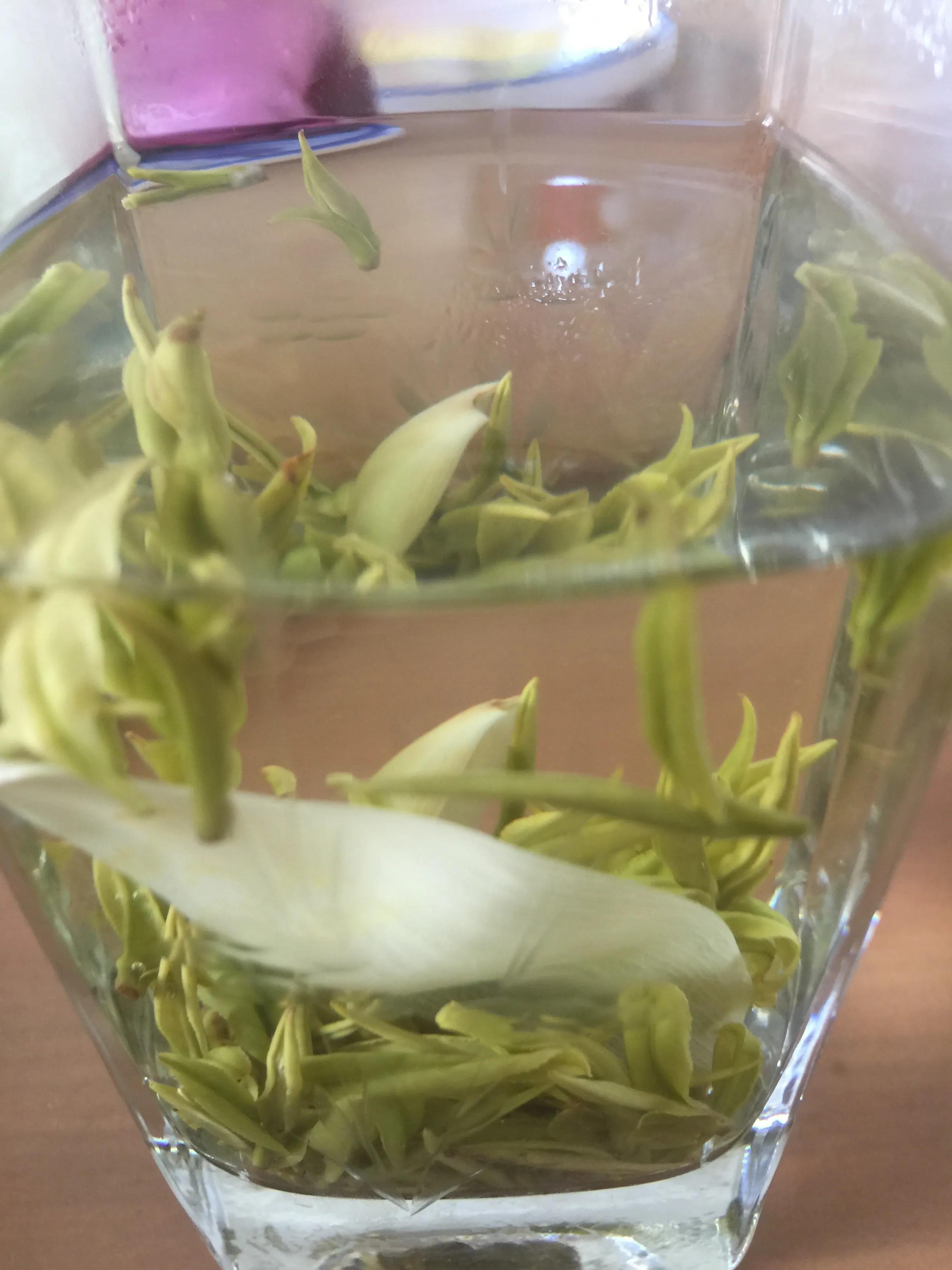 稚吟秋声全文,稚吟秋声原创