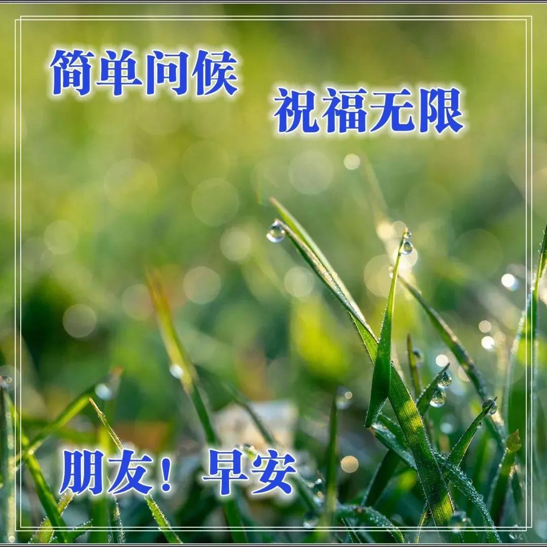 早上好表情图片带字早上好问候语,早上好祝福问候语大全简短图片
