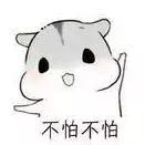 冻卵的真实原因,不允许冻卵的真实原因