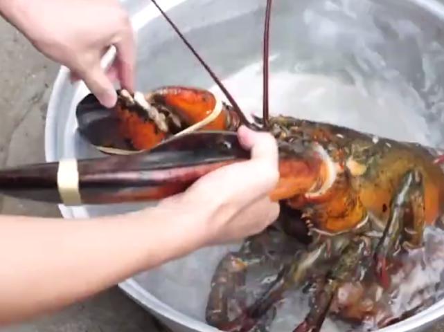 日本小哥花钱购买海虾，钳子肉很饱满，蘸上酱料吃太过瘾